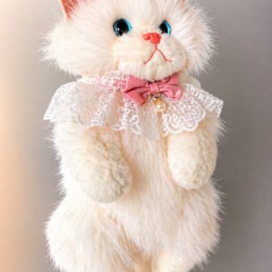 Cat Bag